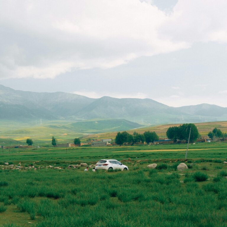 Gently rolling green fields with a white car and mountains under cloudy skies, capturing a tranquil rural landscape.