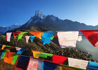 assorted-color buntings on mountains during daytime