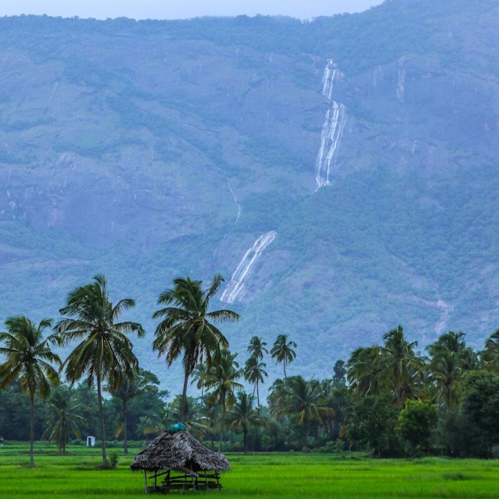 green grass field with green trees and mountain in distance